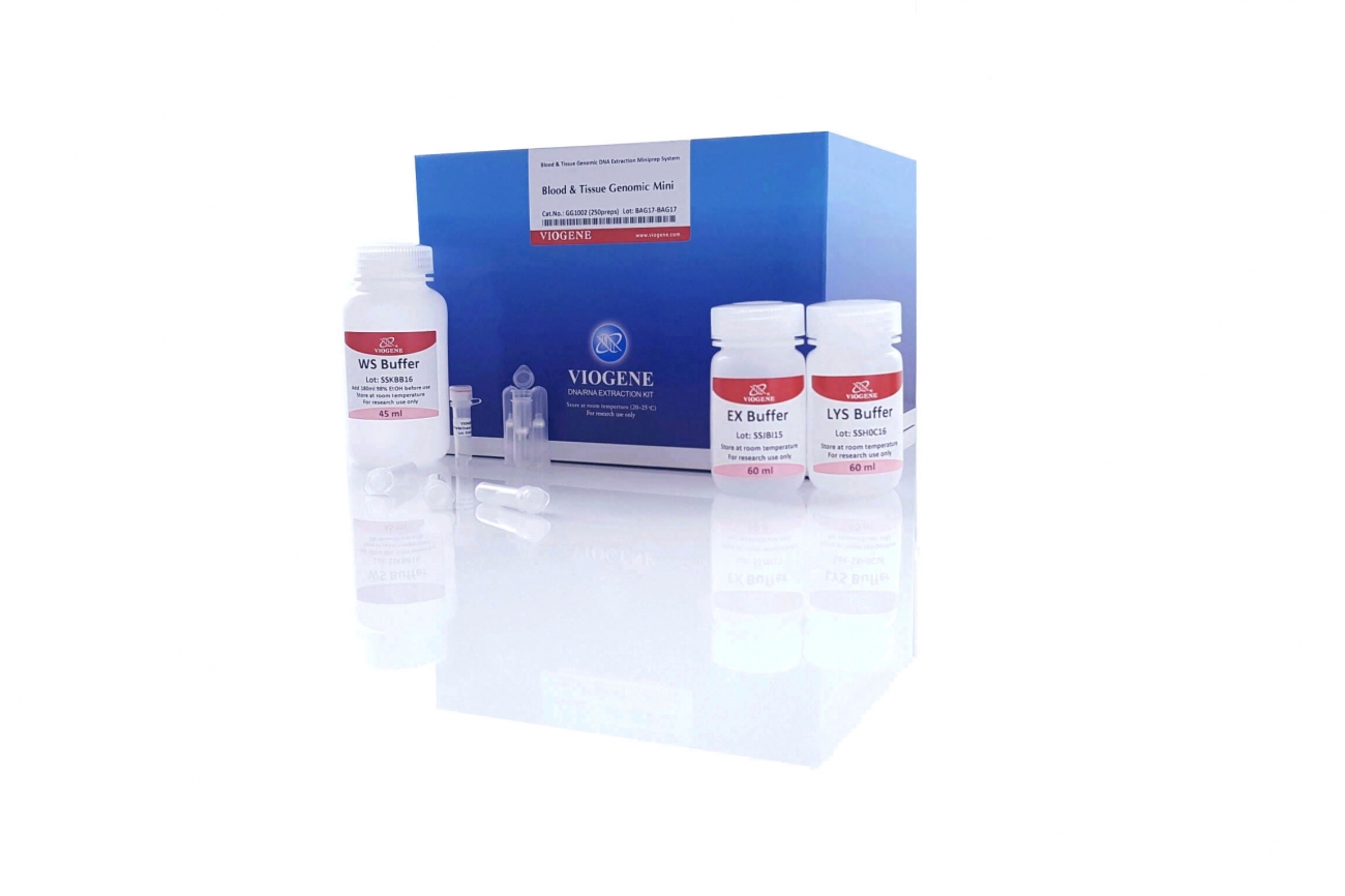 血液和組織基因組 DNA 小量製備系統採用矽膠膜技術，可簡單快速地分離基因組 DNA，無需苯酚/氯仿或乙醇沉澱。由於蛋白酶 K 直接裂解組織，因此不需要樣本均質化。簡單的離心方案可有效去除蛋白質、二價陽離子和次級代謝物等污染物。然後將純基因組 DNA 在水或低鹽緩衝液中洗脫，即可使用。針對不同的樣本（例如組織、培養細胞、血液、小鼠尾巴、細菌和酵母）提供了特殊的方案和指南。純化的 DNA 不含污染物和酵素抑制劑，A 260/ A 280比率通常在 1.7 至 1.9 之間。基因組 DNA 大小高達 50 kb，其中主要片段為 30 kb。