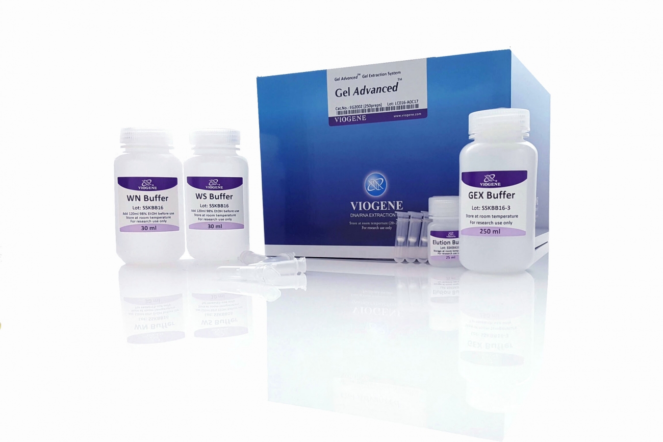 Gel Advanced  Gel Extraction Miniprep System 包含一個矽膠膜，用於在高鹽緩衝液 (pH 4.5~5.5) 中結合 DNA，並用低鹽緩衝液 (pH 7.0~9.0) 或 ddH 2 O 洗脫 DNA。 DNA 樣本中的瓊脂糖殘留、酵素、鹽、溴化乙錠和其他雜質。矽膠膜技術消除了與鬆散樹脂和漿料相關的問題和不便。
