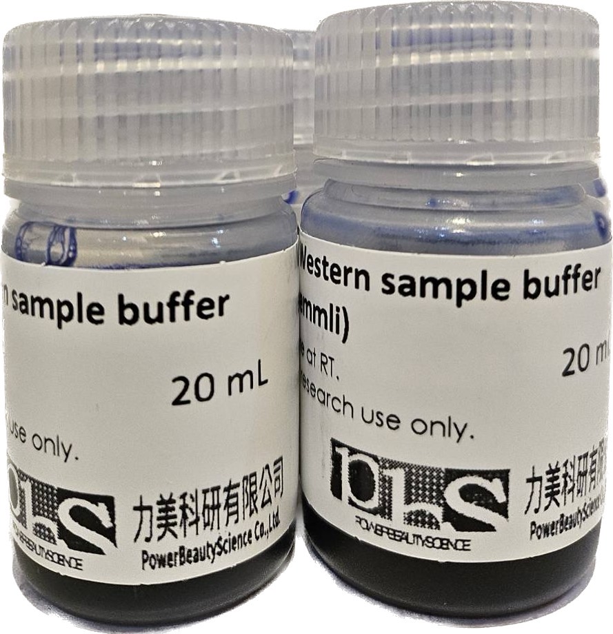 各式分生、蛋白質試劑、緩衝液