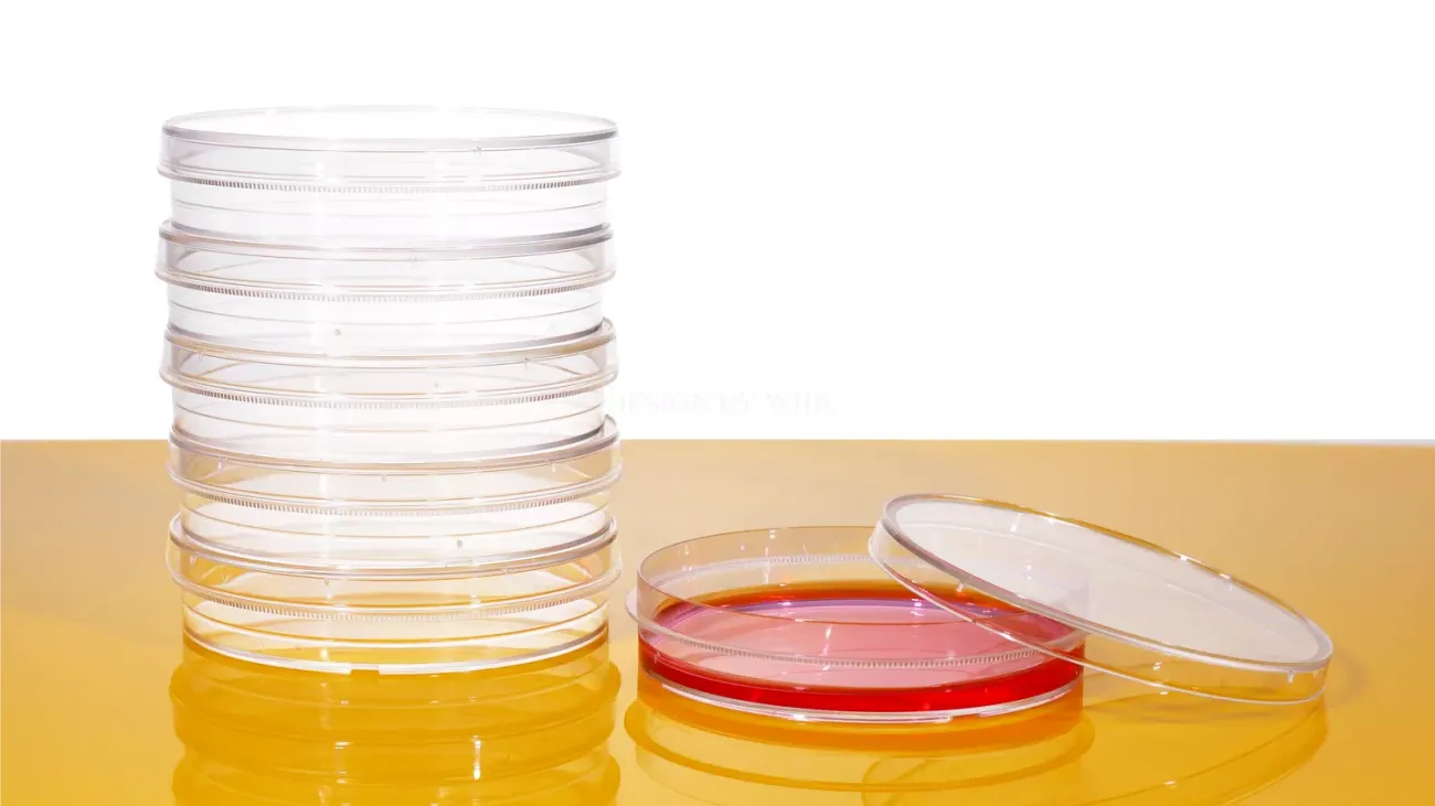 4種直徑尺寸可選：35、60、100、150mm；
培養皿底部標有時鐘區域方便記錄；
產品晶瑩剔透，厚度均勻，皿底平整光潔、無畸變，使定量分析更準確；
特殊結構改良設計，使皿蓋和皿底強度增加，同時提高平整度，增加培養皿內壁的吸附性；
經TC處理表面處理的培養皿，細胞貼壁性優良；
皿側的齒環設計，方便拿握，減少污染；
專門設計的培養皿蓋有利於最適氣體交換；
疊放環使疊放和處理更加容易；
伽瑪射線消毒滅菌，無熱原、無RNA酶、無DNA酶。