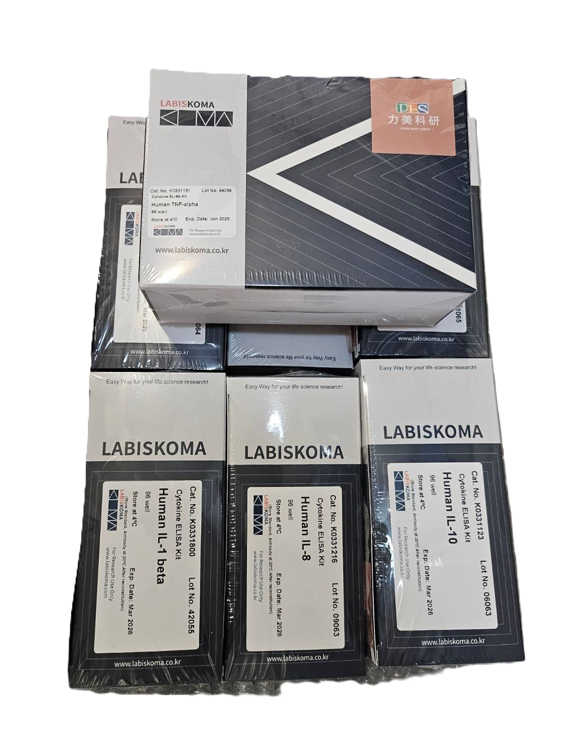 Cytokine ELISA、Ig ELISA
、Albumin ELISA