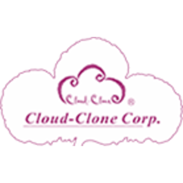 cloud clone.png