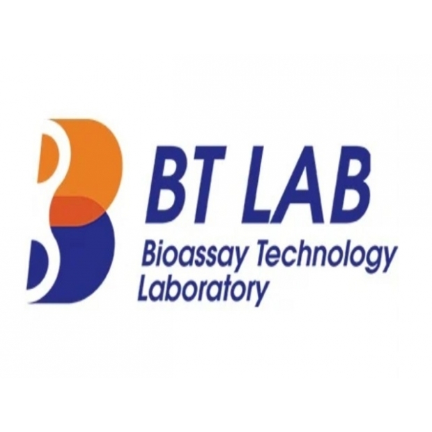 BT LAB.jpg