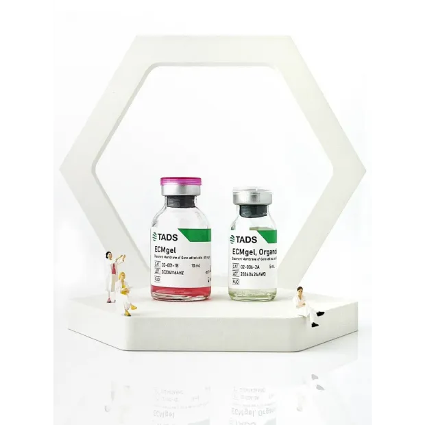 ECMgel.webp