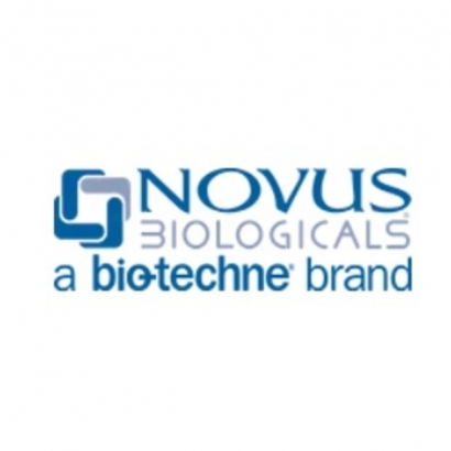 Novus.jpg