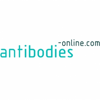 antibodys online.jpg