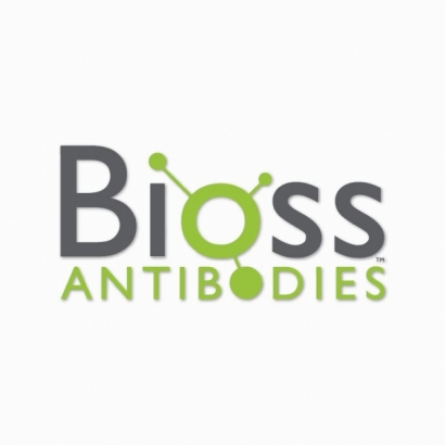 bioss.jpg