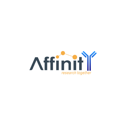 affinity.png
