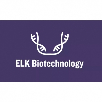 ELK.jpg