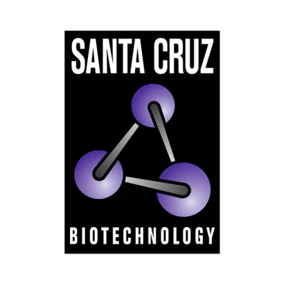 scbt_3.png